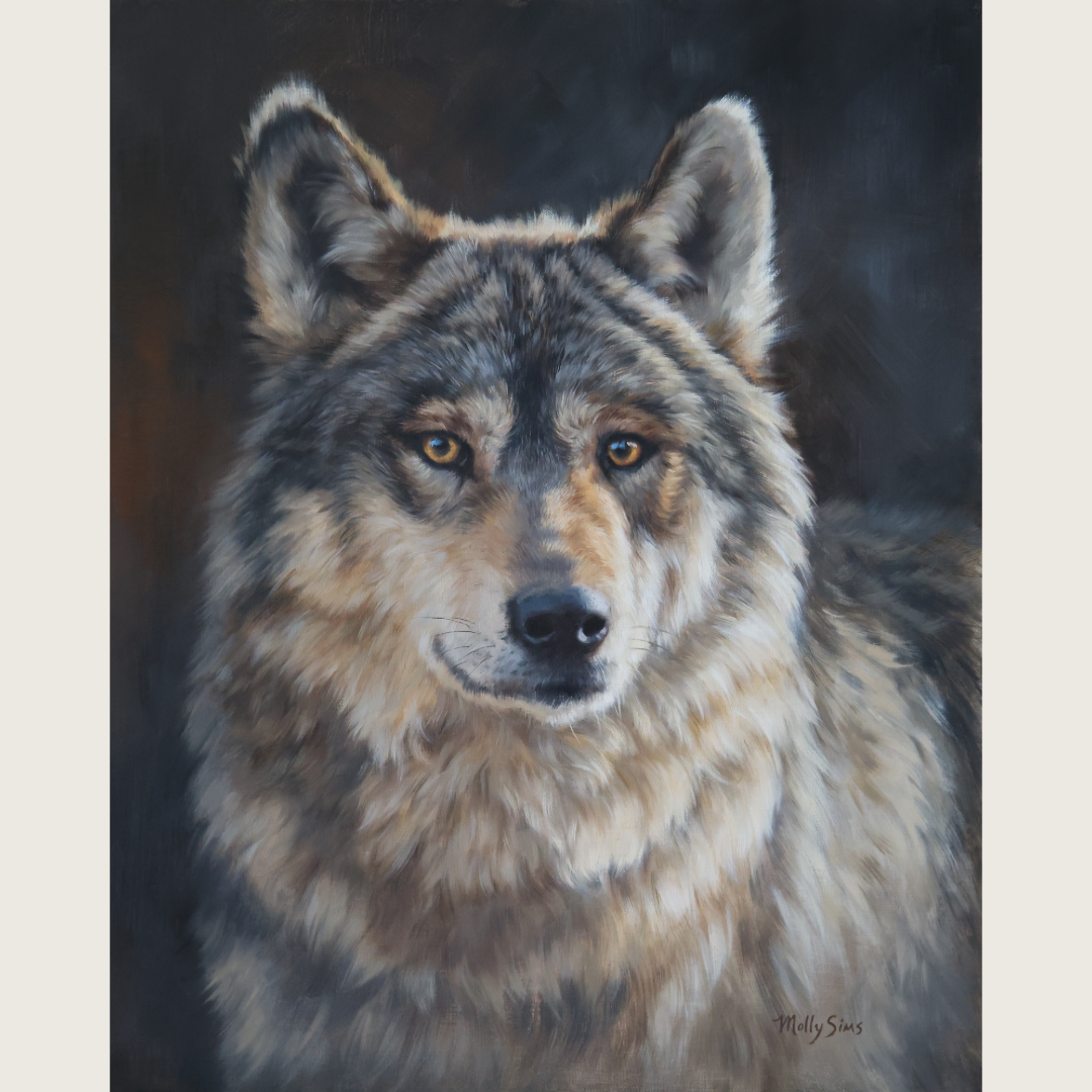 Alpha Wolf