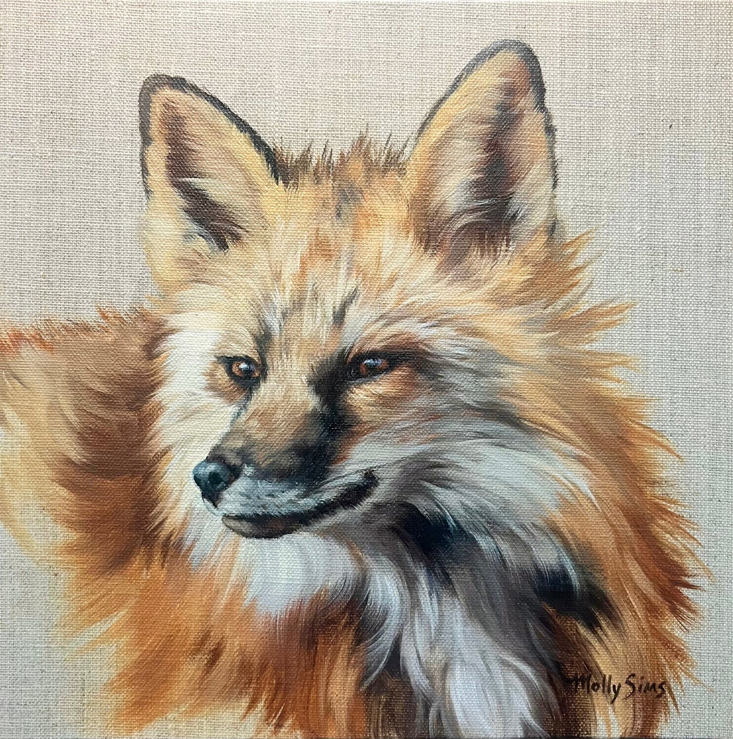 Mr.Fox ~ 10" x 10" ~ Beartooth Gallery