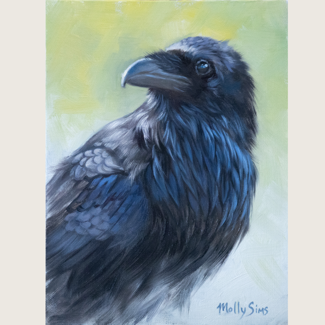 Raven Portrait ~ 6"x8"