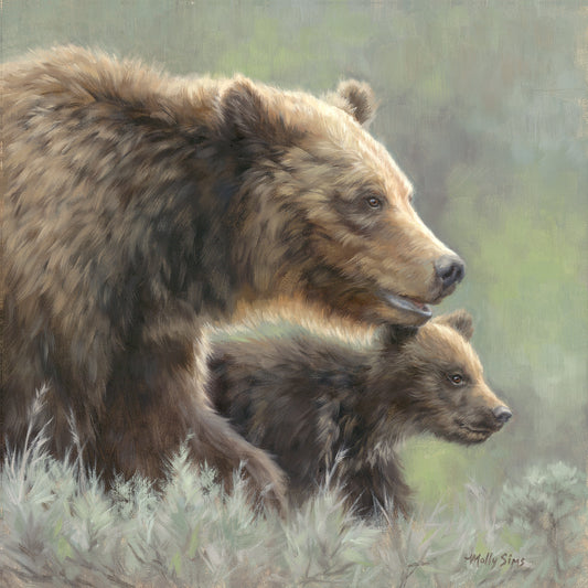 399 and Spirit Cub ~ 16" x 16" ~ Print