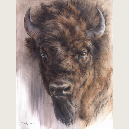 Bison Portrait ~ 12" x 16" ~ Print