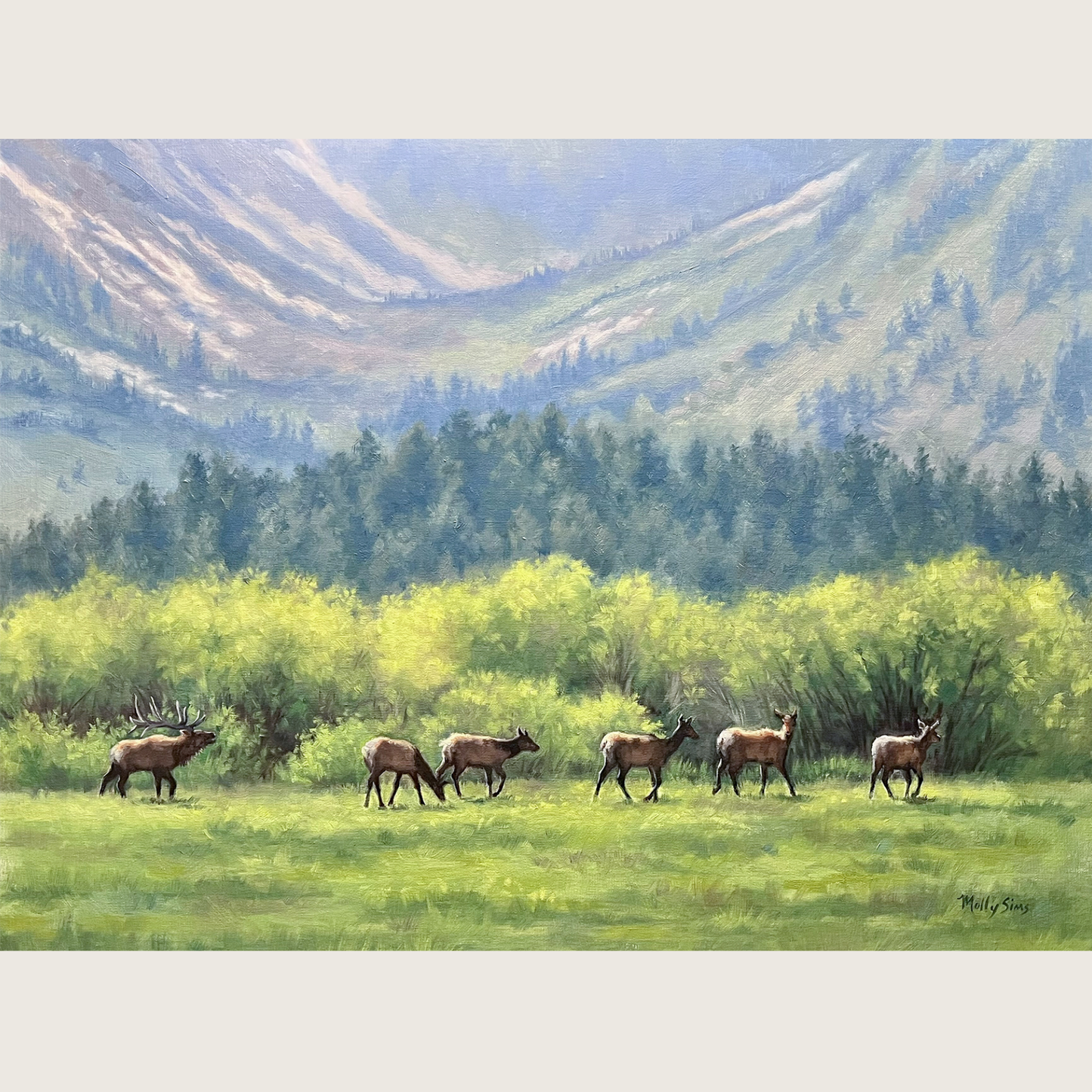 SOLD ~ Calling the Ladies Back ~ 18" x 24" ~ Beartooth Gallery