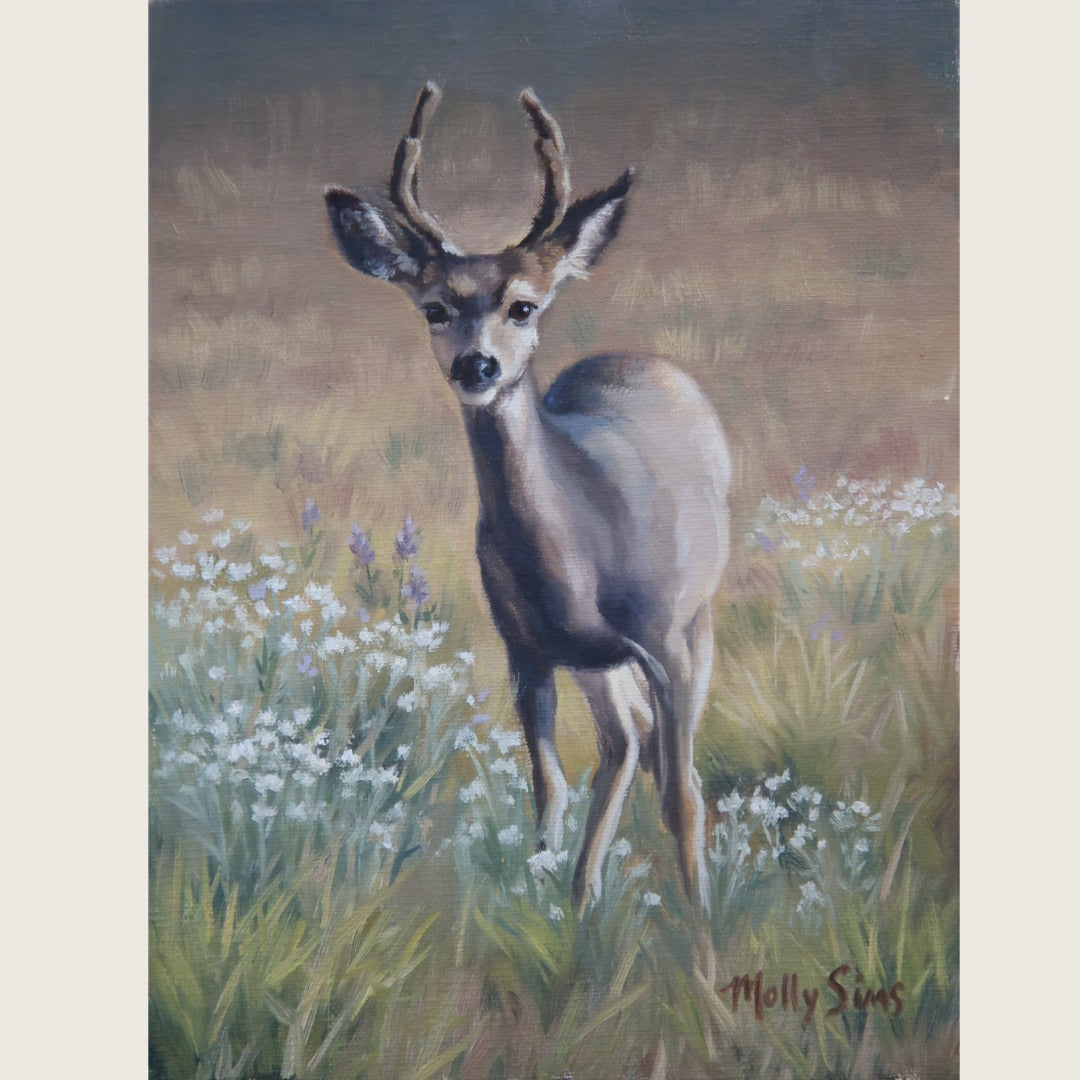 Young Buck ~ 6" x 8"