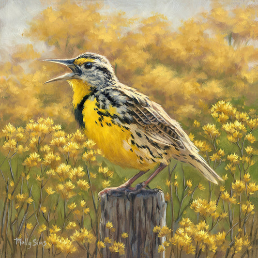 Golden Meadow ~ 12" x 12" ~ Print