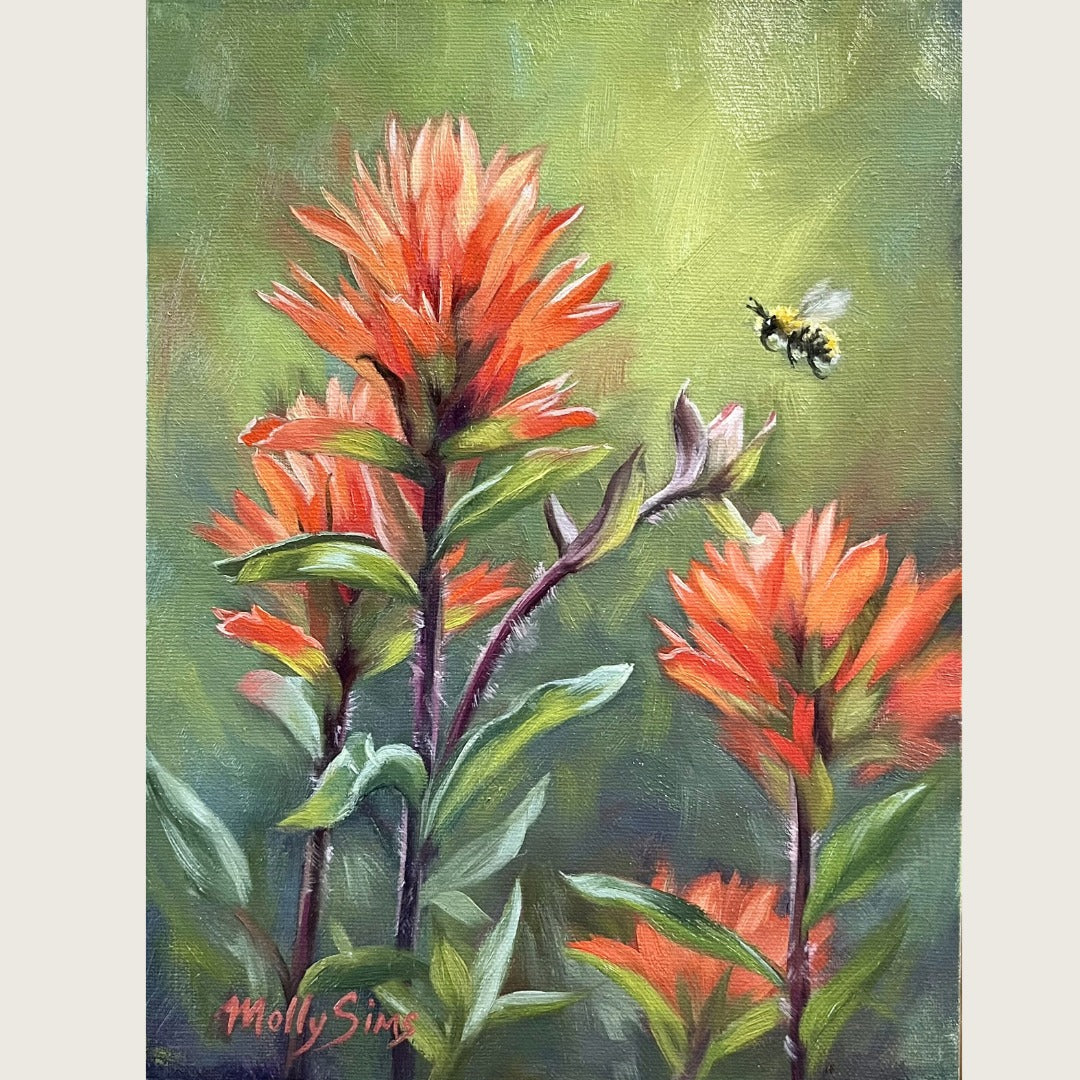 Indian Paintbrush ~ 6”x8”