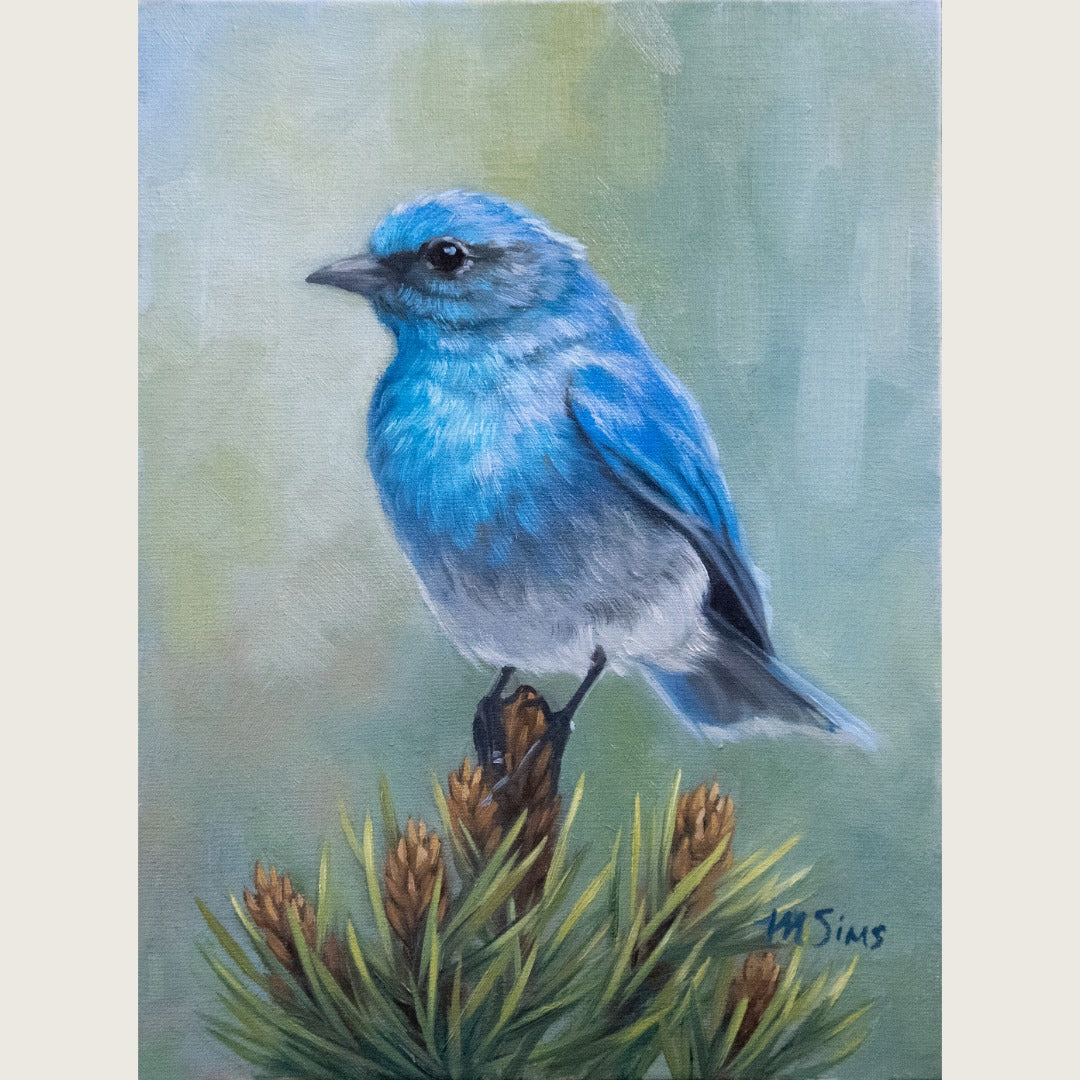 Mountain Bluebird ~ 6"x8"