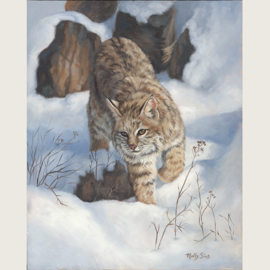 On the Move ~ 16" x 20" ~ Beartooth Gallery