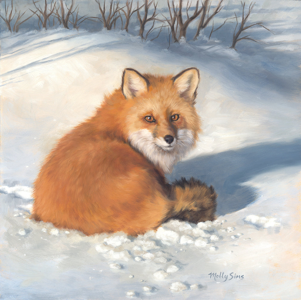 Resting in the Snow ~ 12" x 12" ~ Print