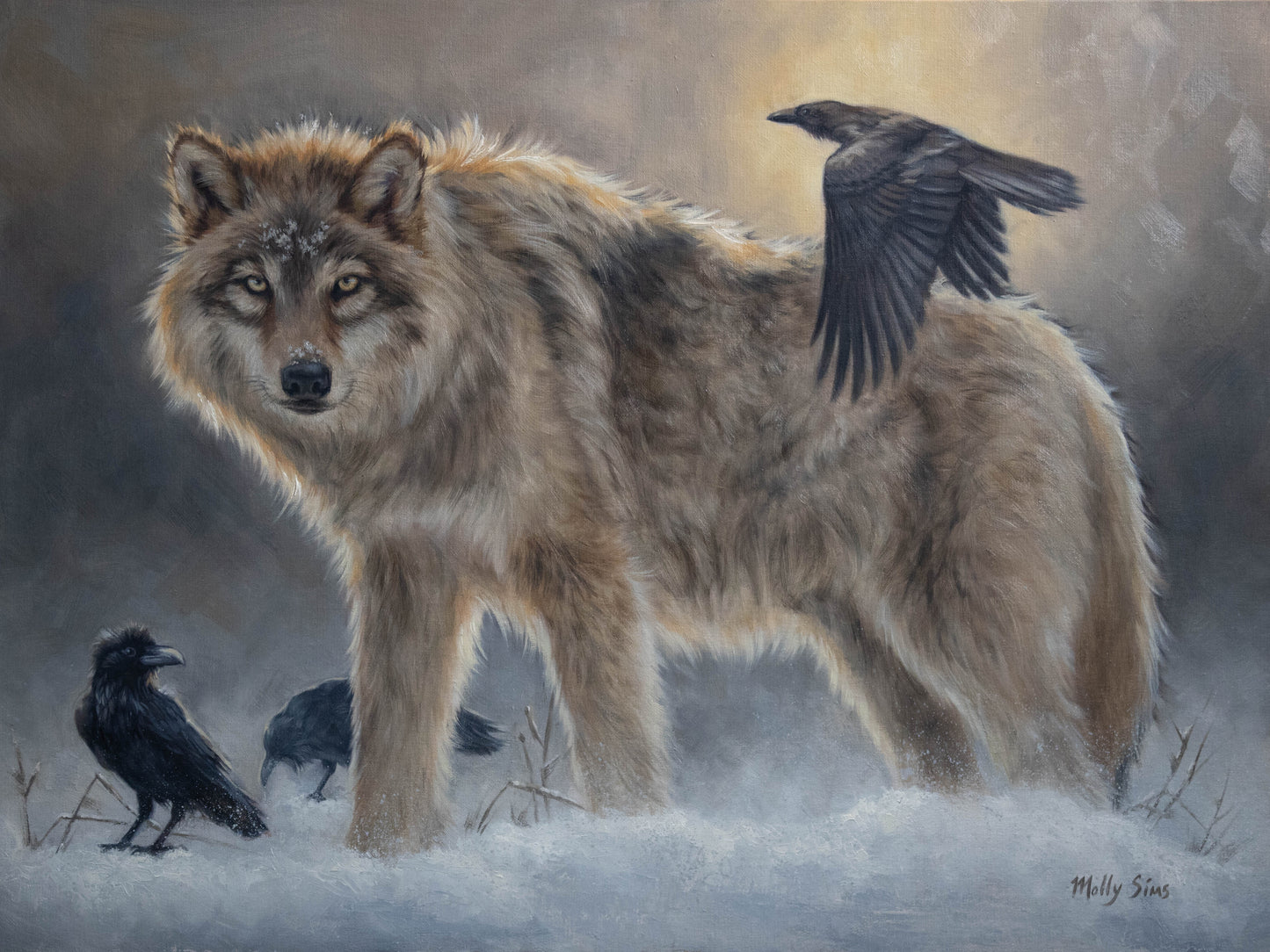 Outwest Art Show