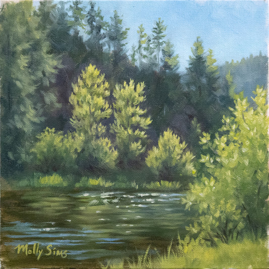 St. Joe ~ 6" x 6"