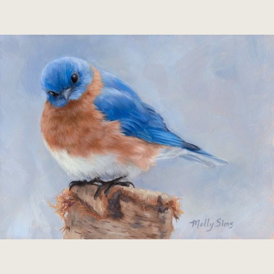 All Puffed Up ~ 5" x 7" ~ Print