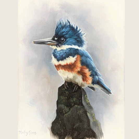Kingfisher on a Rock ~ 8" x 10" ~ Print