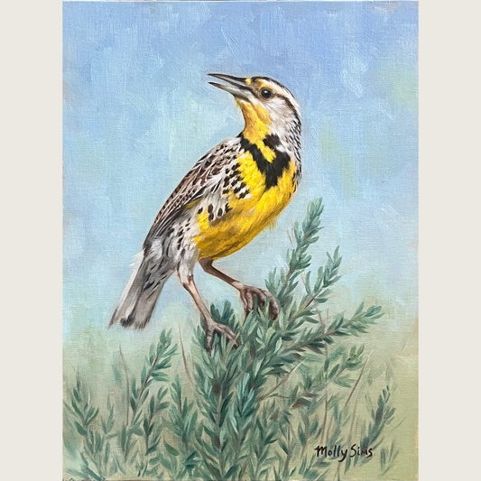 Morning Melody ~ 8" x 10" ~ Beartooth Gallery