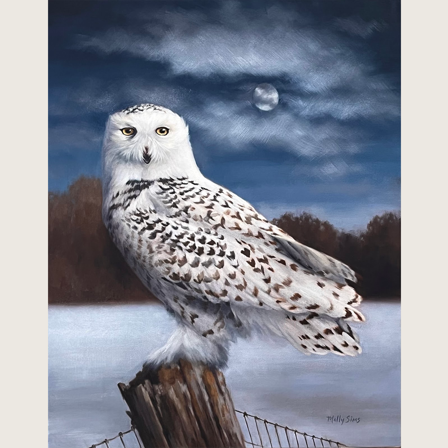 SOLD ~ Night Owl ~ 16" x 20"