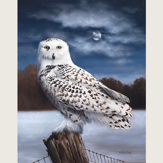 Night Owl ~ 16" x 20" ~ Print